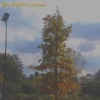 The Perfect Season Demo - EP