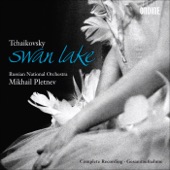 Swan Lake, Op. 20 : Act II By a Lake: No. 10. Scene: Moderato artwork