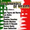 Jaula De Oro
