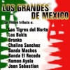 Tributo Los Tigres del Norte - Jaula de Oro