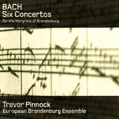 Brandenburg Concerto No. 5 in D Major, BWV 1050: I. Allegro artwork