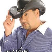 Estupido Enamorado - Single - David Olivarez