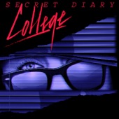 Secret Diary artwork