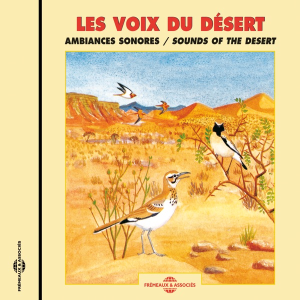 Les Voix Du Désert