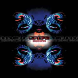 The C.O.M.A. Imprint - Candiria The C.O.M.A. Imprint - Candiria
