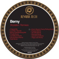 Shplatten Remixes - Berny