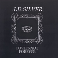 J.D.Silver - Love Is Not Forever (live version)