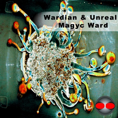 Magyc Ward - Single