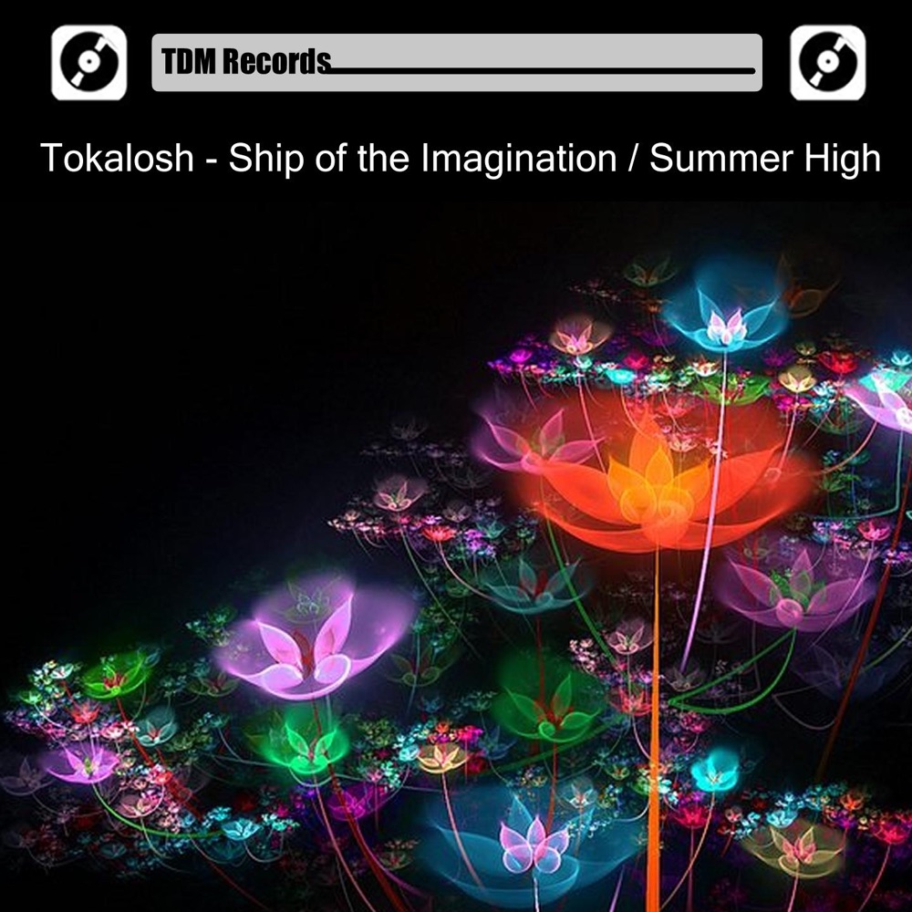 Обложка альбома «Ship of the Imagination / Summer High - Single» — Tokalosh