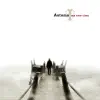 Autumn - Angel of Desire
