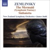 Alexander von Zemlinsky Sinfonietta, Op. 23: I. Sehr Lebhaft - Zemlinsky: Die Seejungfrau & Sinfonietta