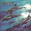 Blue Heaven - Dreaming In the Rain