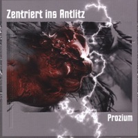 Zentriert ins Antlitz - Gollum