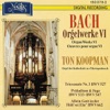 Ton Koopman - Präludium und Fuge E-Moll BWV 533: Allein Gott In Der Höh´ Sei Ehr´ (BWV 662)