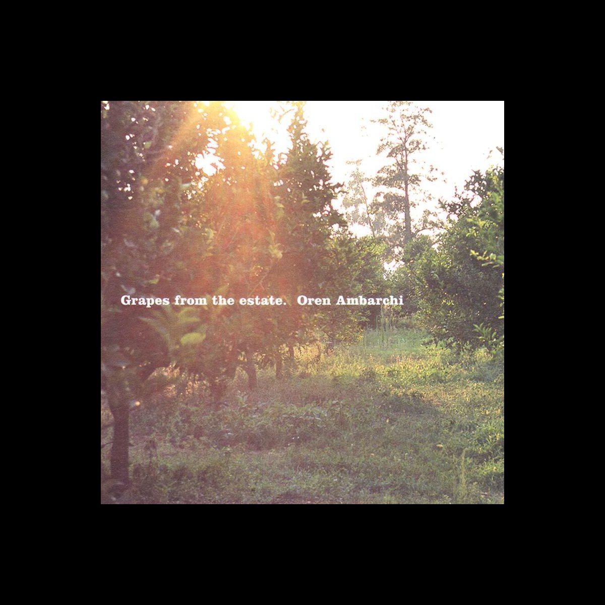 Grapes from the Estate - Album by Oren Ambarchi - Apple Music