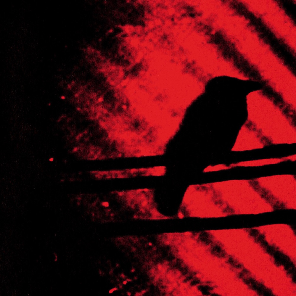 Born Into Trouble As the Sparks Fly Upward by Silver Mt. Zion album cover