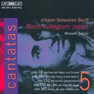 Gleichwie Der Regen Und Schnee Vom Himmel Fallt, BWV 18: Sinfonia by Bach Collegium Japan, Masaaki Suzuki, Peter Kooij, Midori Suzuki & Makoto Sakurada song reviws