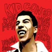 Kid Congo & The Pink Monkey Birds - I Found a Peanut