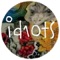 In the Gold Room (DJ Koze Vocal) - Id10ts lyrics
