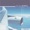 Nite Flyte - Coast To Coast