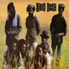 Black Roots - Move On