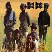 Black Roots artwork