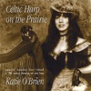 Celtic Harp On the Prairie