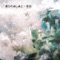 Kare - supercell lyrics