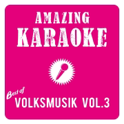 Best of Volksmusik, Vol. 3 (Karaoke) - Amazing Karaoke