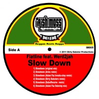 Slow Down (feat. Werd2jah) - Flatline
