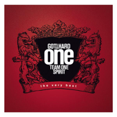 One Team One Spirit