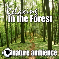Relaxing In the Forest (Nature Sounds) - Single - Nature Ambience