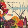 Lightning Harvest