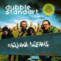 Chrome Optimism (Subatomic Soundsystem Dubstep RMX)