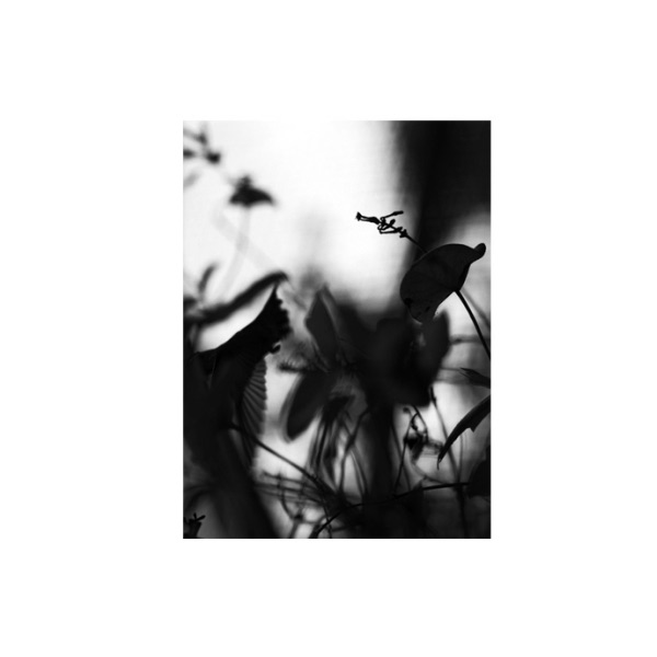 Обложка альбома «Berkeley - Single» — Pawel