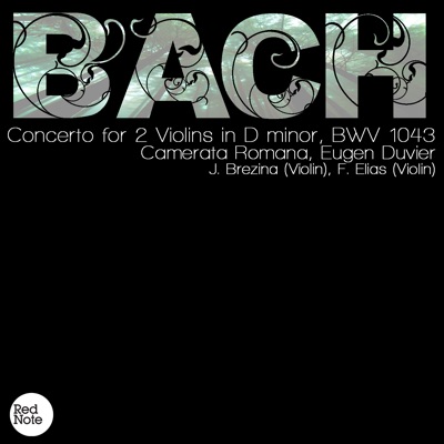 Bach: Concerto for 2 Violins in D minor, BWV 1043
