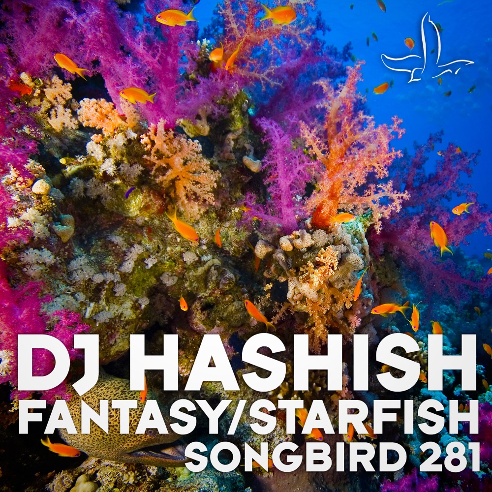 Обложка альбома «Fantasy / Starfish - Single» — DJ Hashish