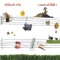 Qualsevol Nit Pot Sortir el Sol artwork