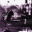 Night Strings: Music for Viola and Guitar