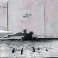 Psi hvezda