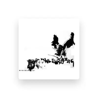Listen to No Bird Sing, watch music videos, read bio, see tour dates & more!