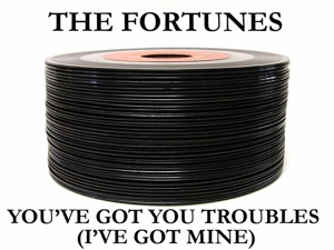 You've Got Your Troubles (I've Got Mine) - Single