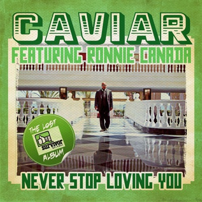Never Stop Loving You