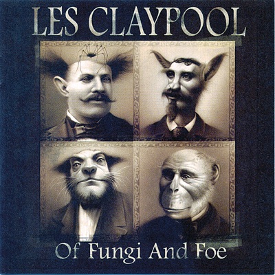 Of Fungi and Foe
