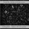 Animal (Original Mix) [Original Mix] - Droplex lyrics