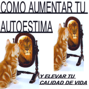 Como Aumentar Tu Autoestima - Victor Longoria