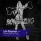 Directors Cut (Yuhei Kubo Remix) - Life Express lyrics