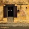 Forced Entry (Tech Mix) - Adam Vegys lyrics