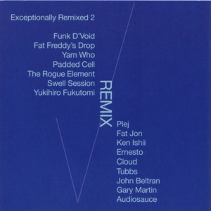 Five Day Night (Fat Freddy Mix)