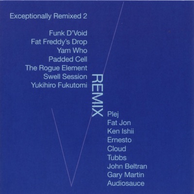 Exceptionally Remixed, Vol. 2